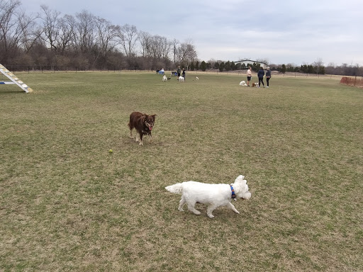 Dog Park «Carol Stream Bark Park», reviews and photos, 280 Kuhn Rd, Carol Stream, IL 60188, USA