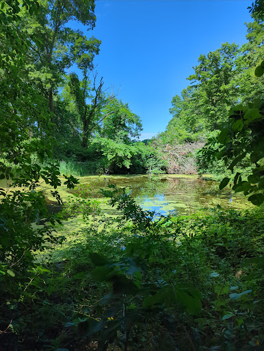 Nature Preserve «Welwyn Preserve», reviews and photos, 100 Crescent Beach Rd, Glen Cove, NY 11542, USA