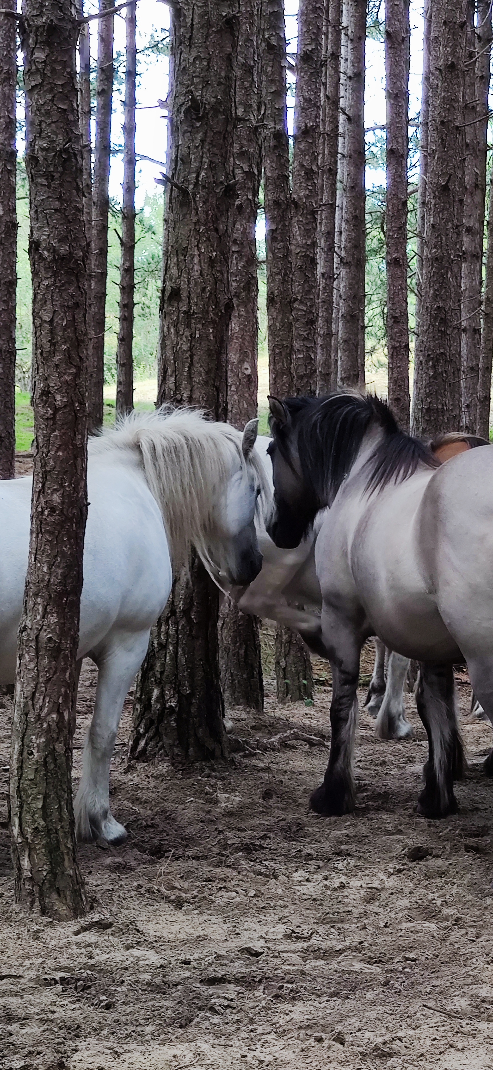Photo n° 1 de l'avis de François.C fait le 17/09/2023 à 19:36