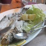 Photo n°7 de l'avis de Monica.d fait le 03/06/2017 à 18:29 sur le  Le Terrazze à Nardò