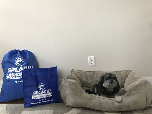 Laundry Service «Splash Laundromat», reviews and photos, 668 N Dupont Blvd, Milford, DE 19963, USA