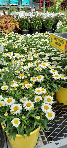 Home Improvement Store «The Home Depot», reviews and photos, 85 Main St, Tewksbury, MA 01876, USA