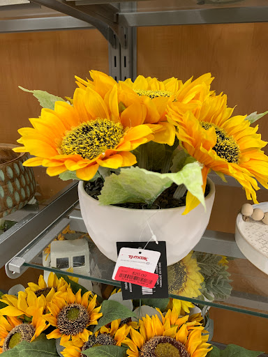 Department Store «T.J. Maxx», reviews and photos, 30965 Five Mile Road, Livonia, MI 48154, USA