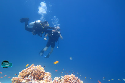 Scuba World Divers Soma Bay
