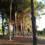 Photo n°2 de l'avis de Ernesto.a fait le 29/06/2020 à 12:26 sur le  Hotel Florida à Silvi