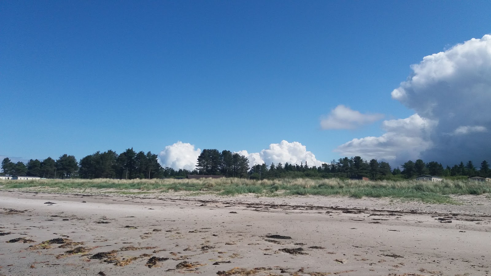 Photo de Point Sands Beach et le règlement