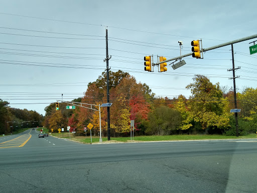 Park «Beech Woods Park», reviews and photos, 137 Beekman Rd, Kendall Park, NJ 08824, USA