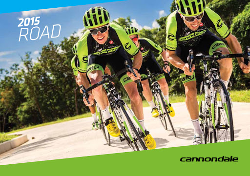 Bicycle Store «Ride N Roll Cyclery», reviews and photos, 6572 Seminole Blvd, Seminole, FL 33772, USA