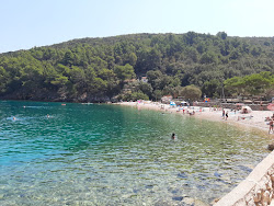 Zdovica beach'in fotoğrafı uçurumlarla desteklenmiş