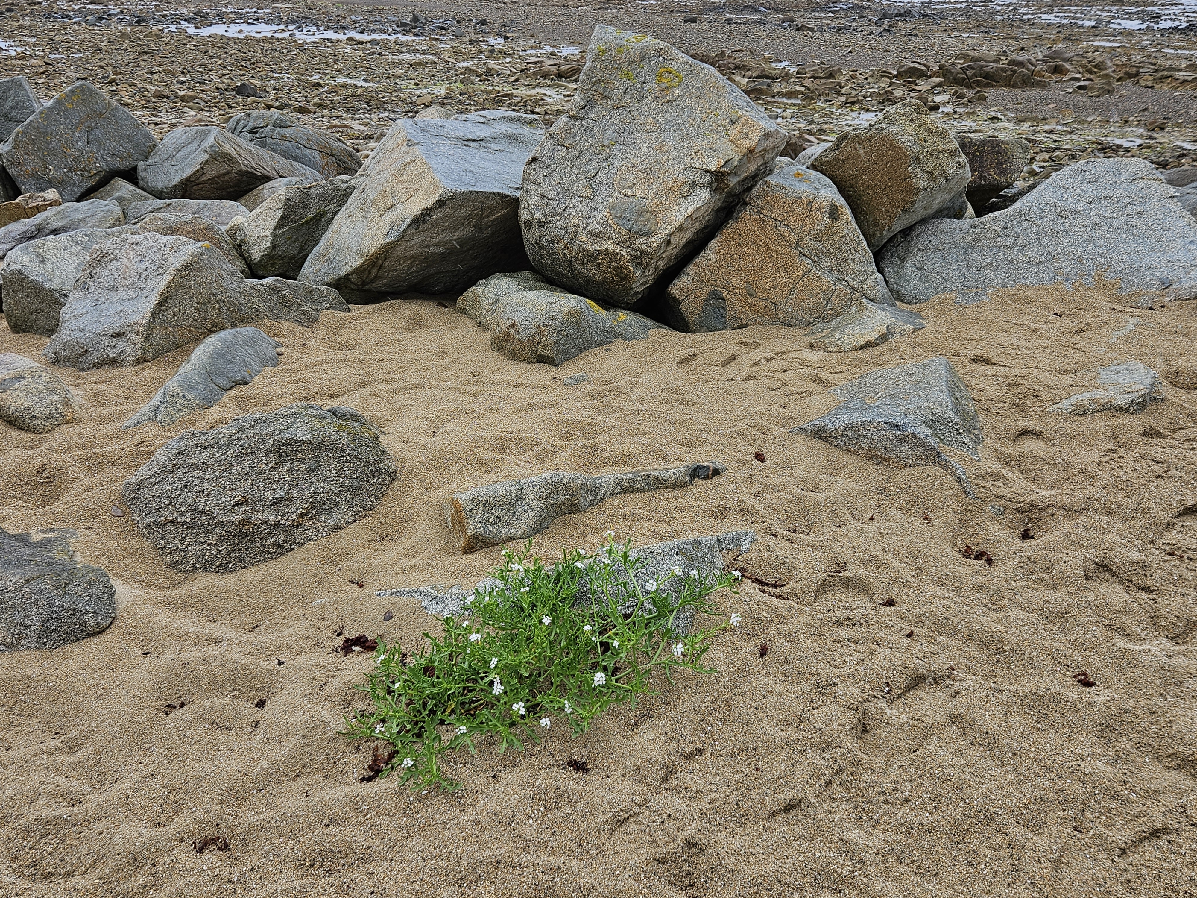 Photo n° 2 de l'avis de Denis.u fait le 01/08/2023 à 18:48