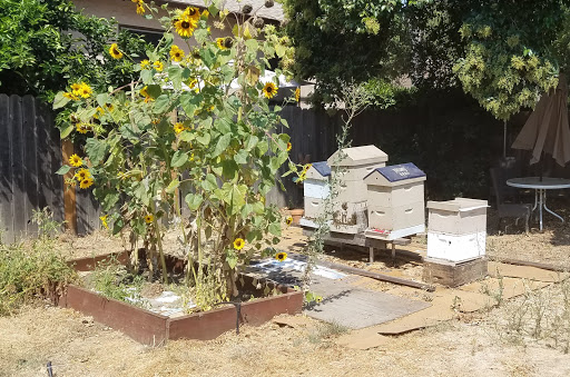 Market «Taylors Market», reviews and photos, 2900 Freeport Blvd, Sacramento, CA 95818, USA