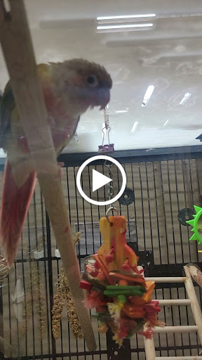 Pet Supply Store «Petco Animal Supplies», reviews and photos, 475 S Wadsworth Blvd, Lakewood, CO 80226, USA