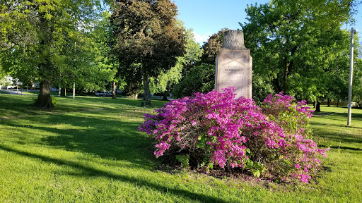 Park «Thrall Park», reviews and photos, 42-21 Grove St, Middletown, NY 10940, USA