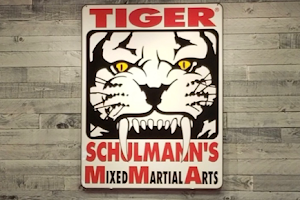 Tiger Schulmann's Martial Arts (Englewood, NJ) image