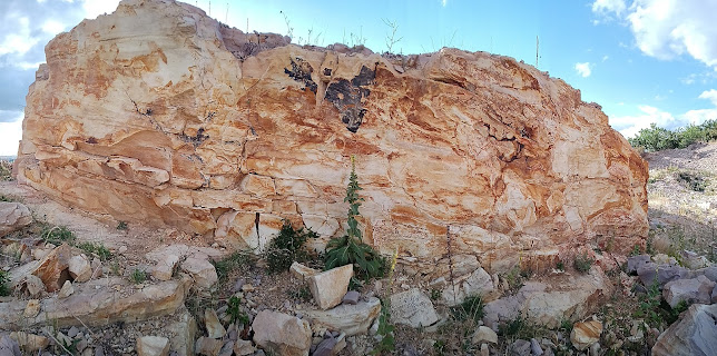 Telefonszám: Gyöngyössolymos