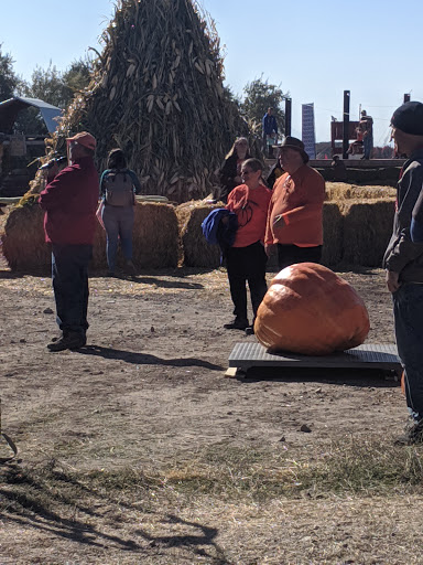 Haunted House «Hee Haw Farms & Corn Maze», reviews and photos, 150 S 2000 W, Lindon, UT 84042, USA