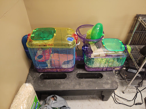 Pet Supply Store «PetSmart», reviews and photos, 213 Hartford Ave, Bellingham, MA 02019, USA