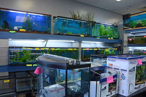 Tropical Fish Store «Age of Aquariums», reviews and photos, 118 N Cedar Ave, Cookeville, TN 38501, USA