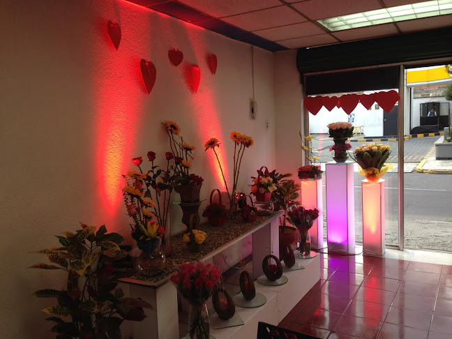 Opiniones de Floristeria Kantu Decoracion y Eventos en Quito - Floristería