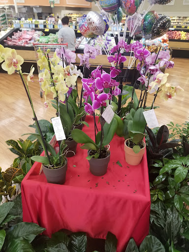 Grocery Store «Winn-Dixie», reviews and photos, 701 E Main St, Prattville, AL 36067, USA