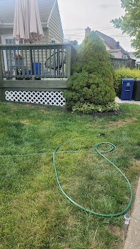 Edwin's Landscaping & Tree Experts LLC - Photo 2 - Car repair in Catonsville, MD, Baltimore