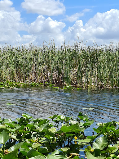 Wildlife Park «Everglades Holiday Park», reviews and photos, 21940 Griffin Rd, Fort Lauderdale, FL 33332, USA