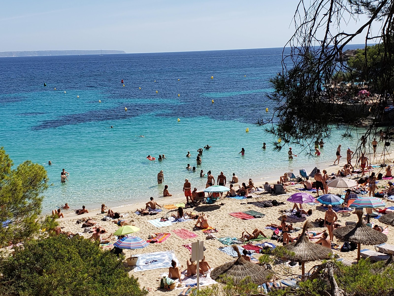 Playa de Illetes 2'in fotoğrafı çok temiz temizlik seviyesi ile