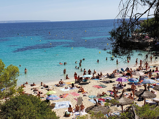 Playa de Illetes 2