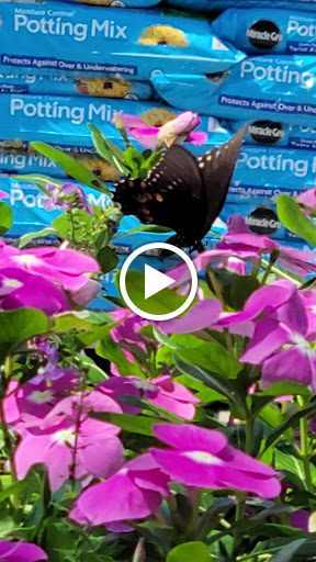 Home Improvement Store «The Home Depot», reviews and photos, 1510 Ring Rd, Elizabethtown, KY 42701, USA