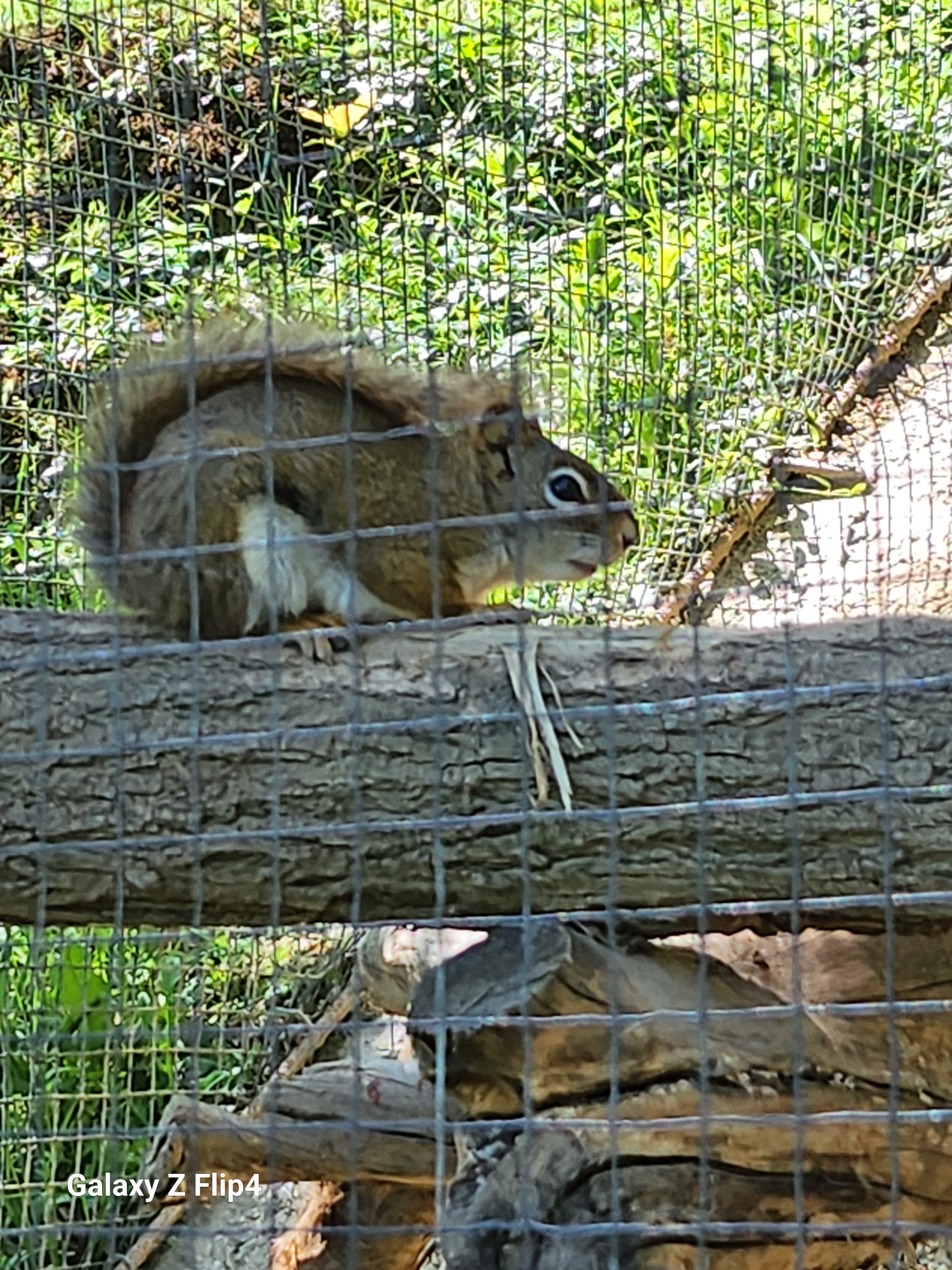 Photo n° 16 de l'avis de pascal.h fait le 02/05/2023 à 19:13