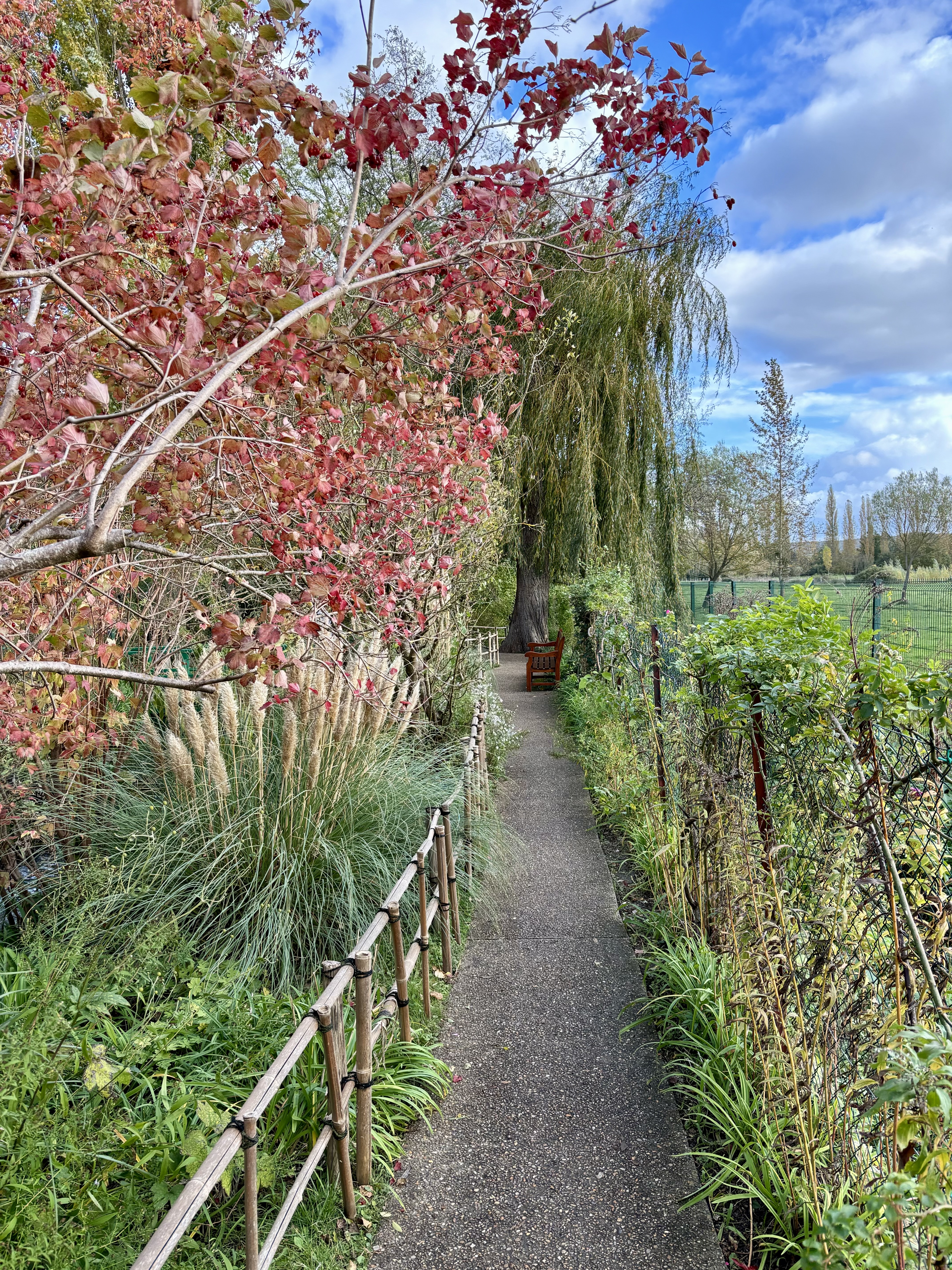 Photo n° 5 de l'avis de Chris.z fait le 05/11/2023 à 17:53