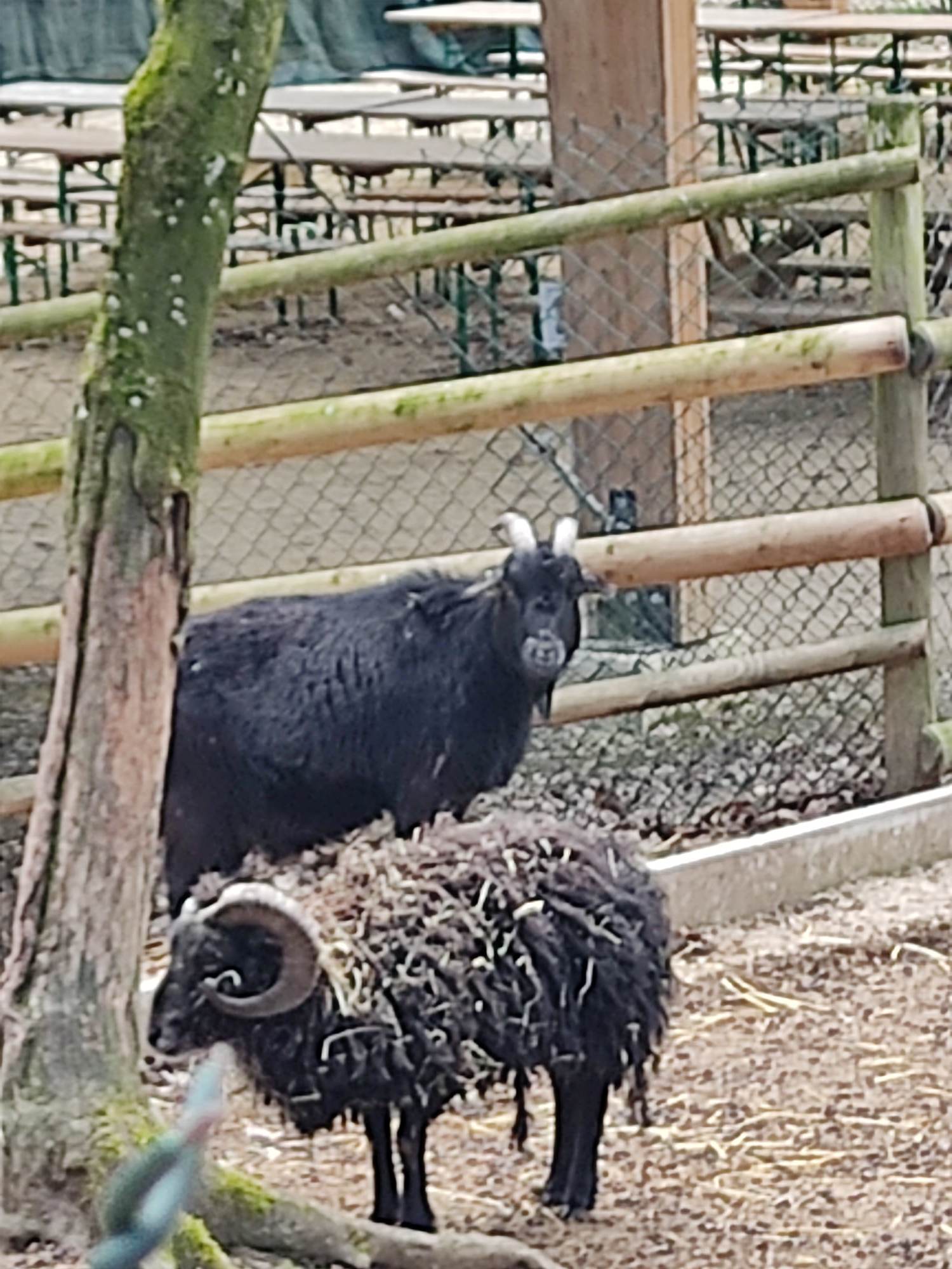 Photo n° 4 de l'avis de Angelique.a fait le 21/04/2023 à 16:55