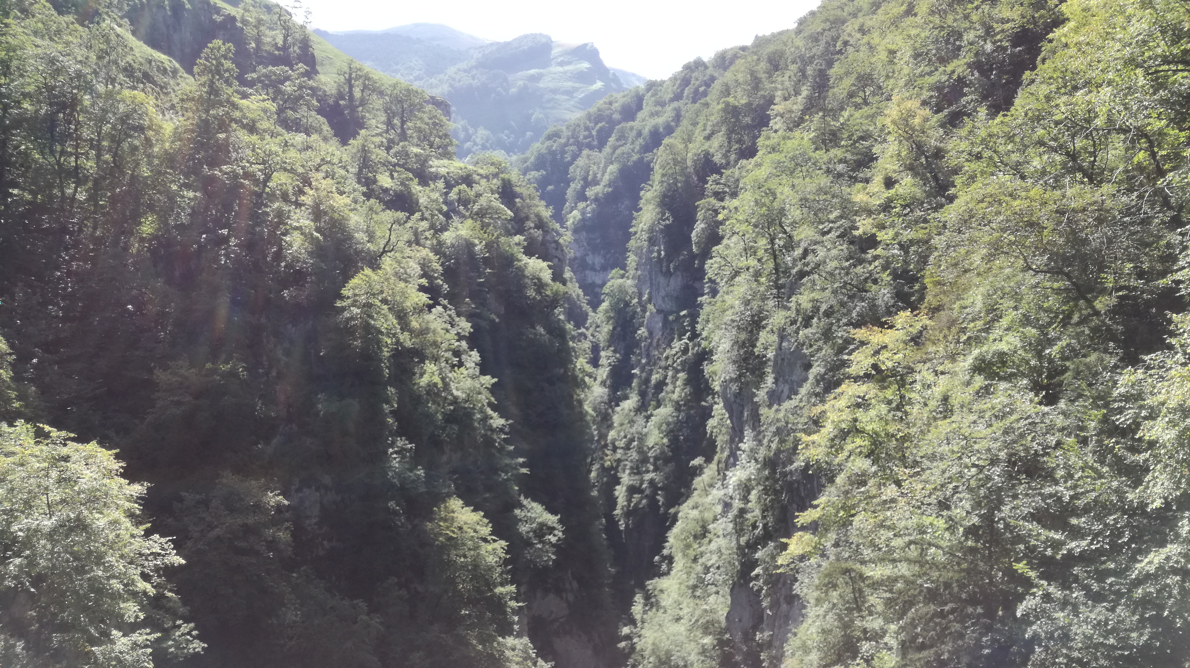 Photo n° 1 de l'avis de Thierry.i fait le 26/08/2018 à 10:49