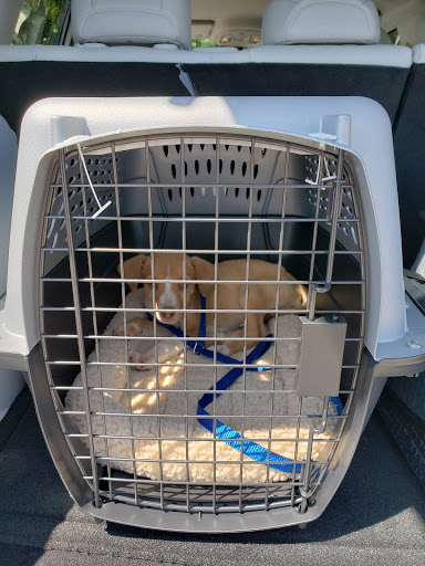 Pet Supply Store «Petco Animal Supplies», reviews and photos, 4665 Garth Rd #400, Baytown, TX 77521, USA