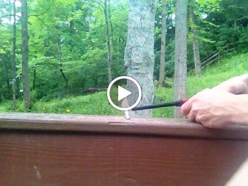 Aquarium «Newport Aquarium», reviews and photos, 1 Aquarium Way, Newport, KY 41071, USA