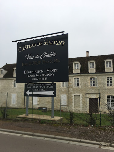Fournier Sylvain à Maligny