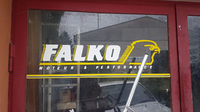 Rezensionen über Garage Falko in Monthey - Autowerkstatt