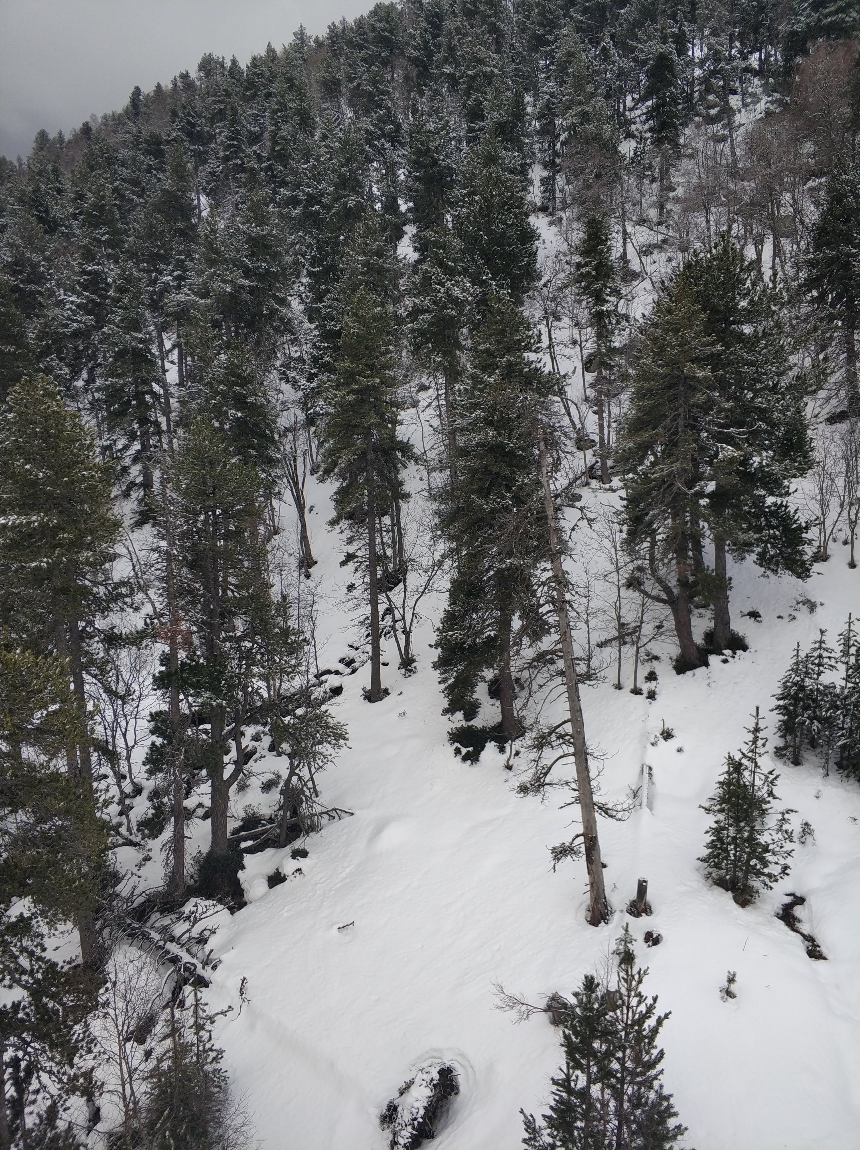 Photo n° 13 de l'avis de Carlos.n fait le 08/03/2019 à 20:38