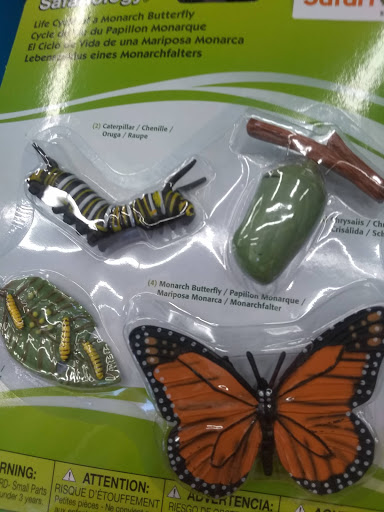 Craft Store «Michaels», reviews and photos, 628 E McGalliard Rd, Muncie, IN 47303, USA