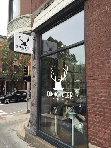 Gift Shop «Common Deer», reviews and photos, 210 College St #101, Burlington, VT 05401, USA