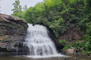 Swallow Falls Natural Area image