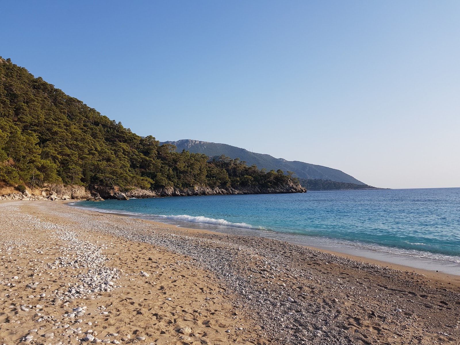 Balartı Plajı'in fotoğrafı vahşi alan