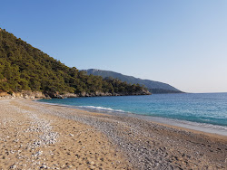 Balartı Plajı'in fotoğrafı vahşi alan