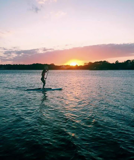 Surf Shop «Island Surf & Paddle», reviews and photos, 520 US-17 BUS, Surfside Beach, SC 29575, USA