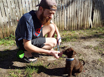 Feather And Fur Pet Care - Photo 4 - Car repair in , Dallas