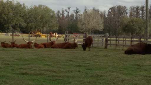Ranch «Smith Family Ranch, LLC», reviews and photos, 13444 Moore Road, Lakeland, FL 33809, USA
