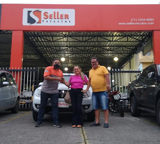 sellerveiculos.com
