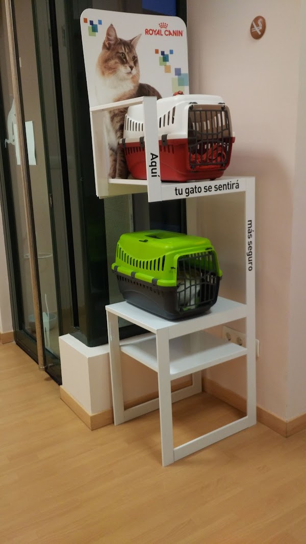 Centro Veterinario Siete Vidas