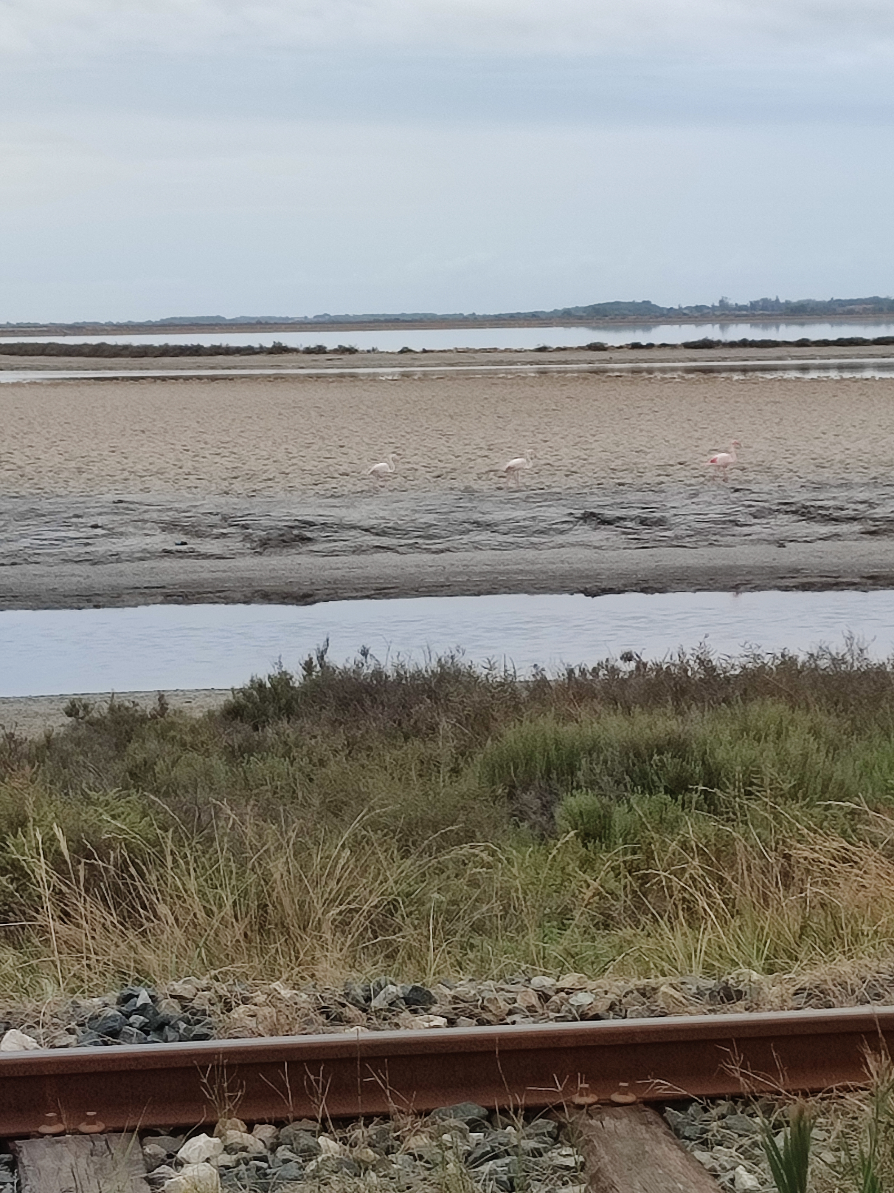 Photo n° 11 de l'avis de Pascaline.h fait le 20/09/2023 à 16:47
