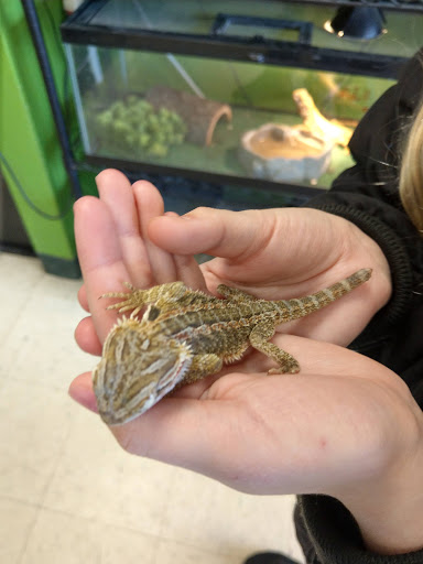 Pet Store «Something Fishy Pets», reviews and photos, 29 Towne Centre Ln, Fox Lake, IL 60020, USA